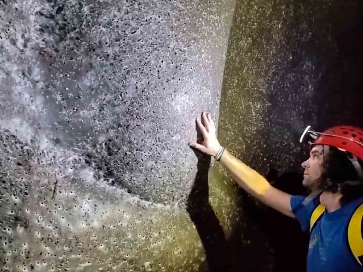 "La Gigantesca Telaraña Europea: Un Abismo de Fibra que Reúne a Más de 100 Mil Arachnids en una Asombrosa Conexión Natural"