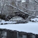 Tormenta Invernal Azota a Nueva York y Zonas Vecinas, Dejando Rastro de Heladas y Desafíos para la Ciudad.