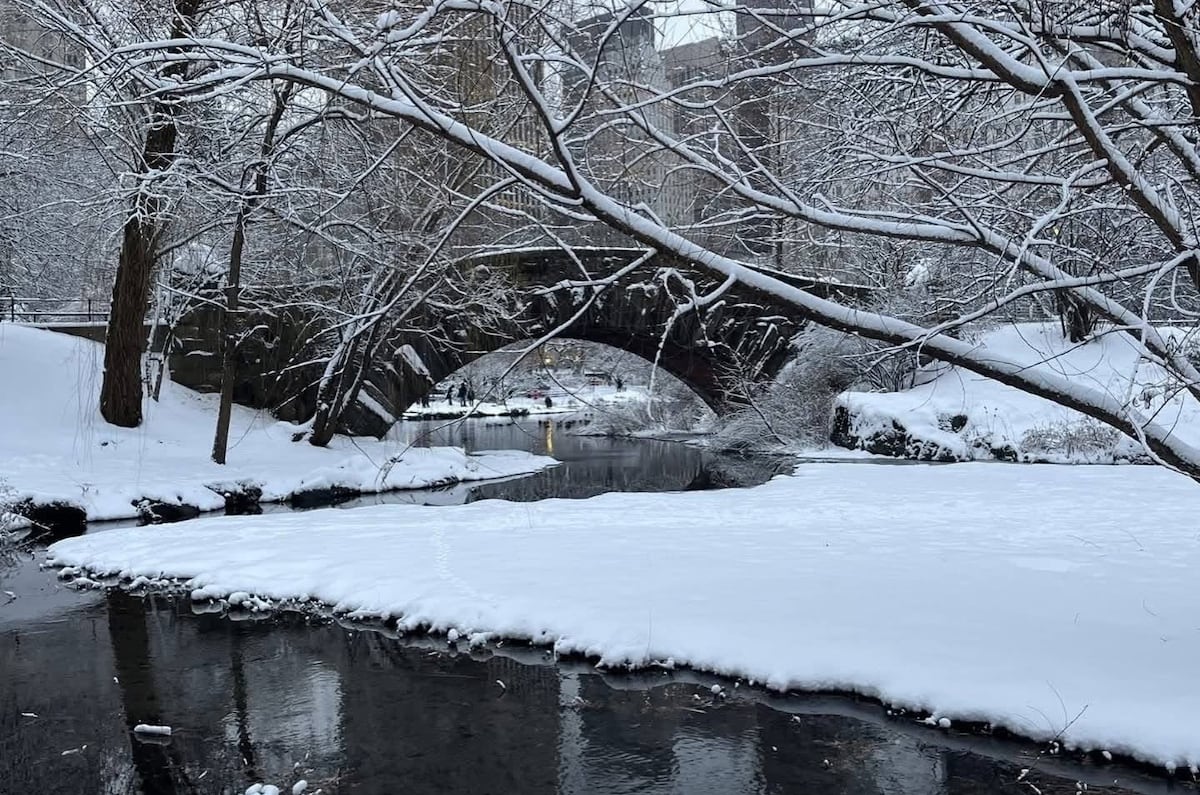 Tormenta Invernal Azota a Nueva York y Zonas Vecinas, Dejando Rastro de Heladas y Desafíos para la Ciudad.