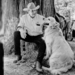 Muere Tommy, el perrito más famoso de Puebla