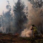 Chile: suman más de mil hectáreas arrasadas por incendios forestales; ordenan evacuaciones