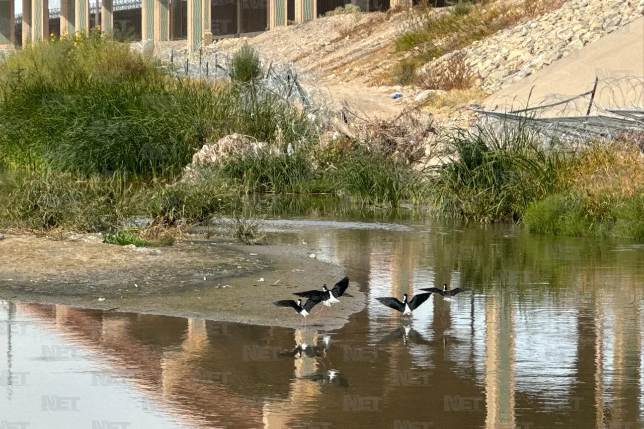 México y EU pactan entrega mínima de agua del Río Bravo